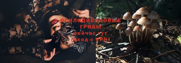 крисы Абинск