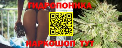 mdpv Можга