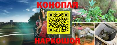 mdpv Можга