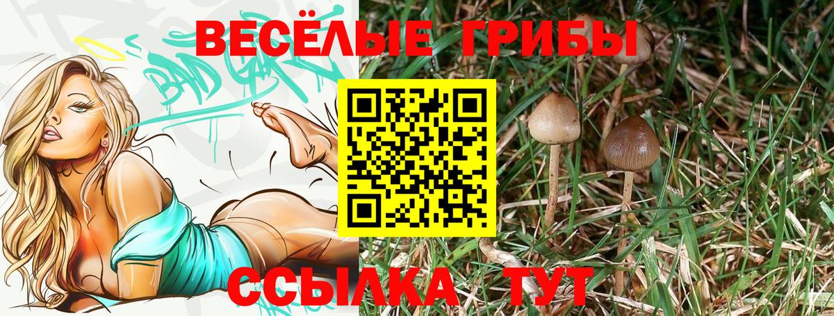 Сызрань  Галлюциногенные грибы мицелий  Вход с VPN 
